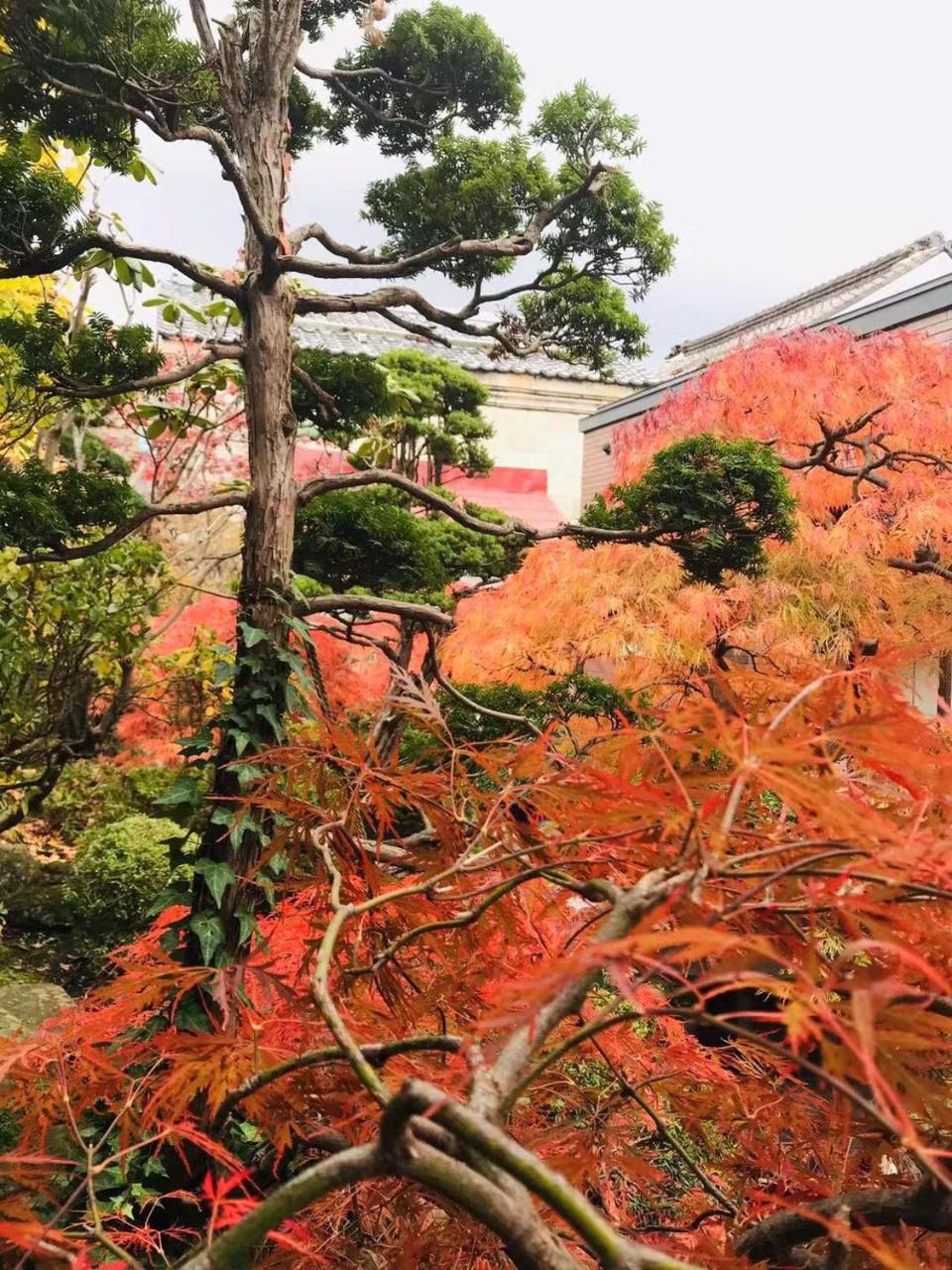 Otarunishikien Bed & Breakfast Exterior photo